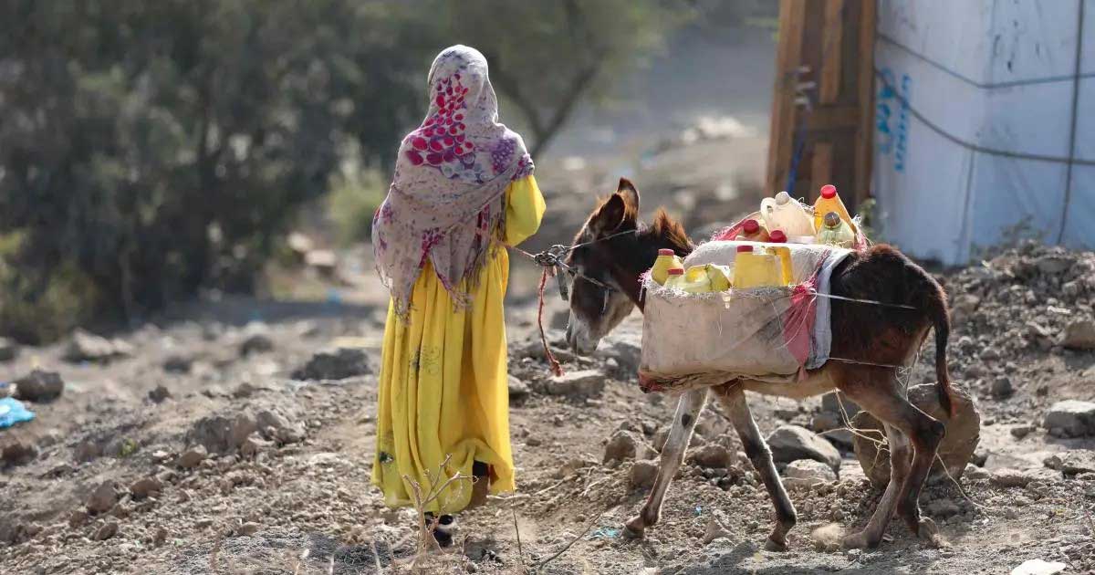 Women-Led Water Mediation Learning Tools – Sanad 3 Project